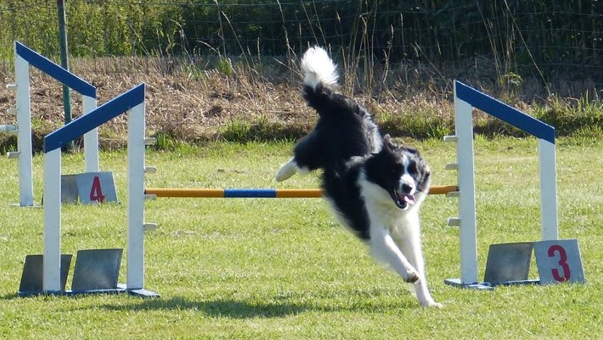 Agility